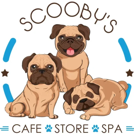 WhatsApp Image 2025-03-10 at 12.44.30 PM